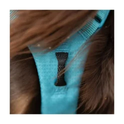 Non-stop Dogwear Arnés Ramble Long con 6 Puntos de Ajuste para Perro