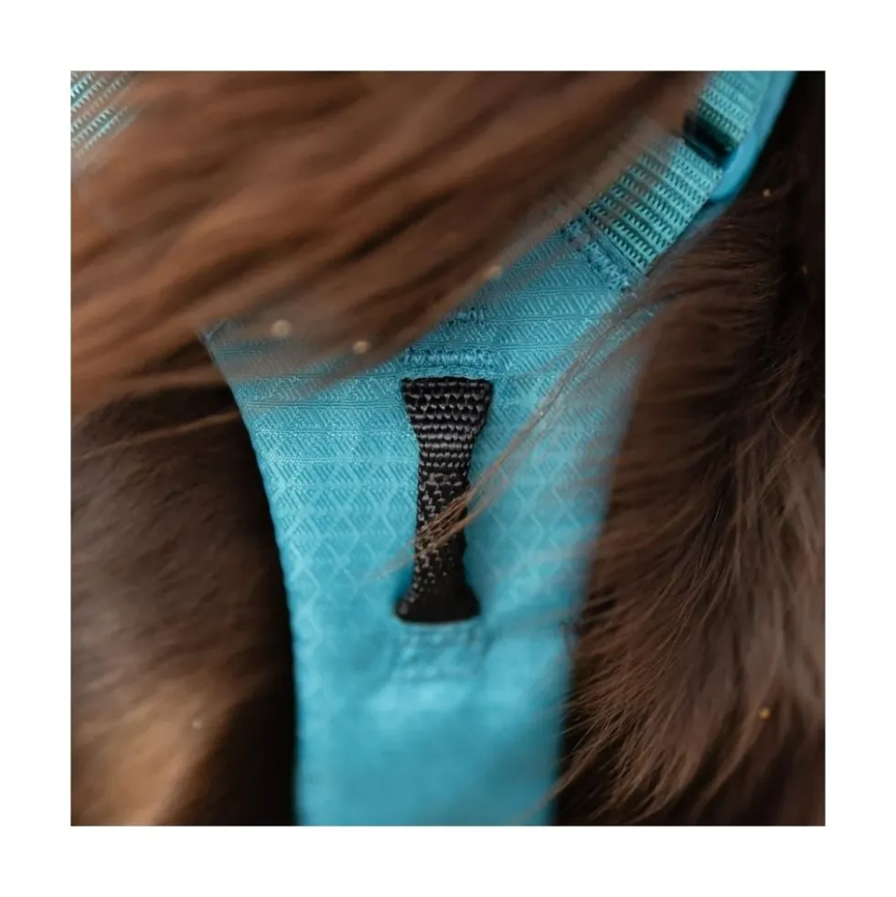Non-stop Dogwear Arnés Ramble Long con 6 Puntos de Ajuste para Perro