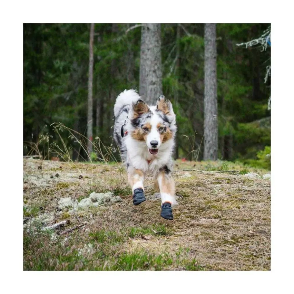 Non-stop Dogwear Botas para Perro