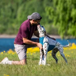 Non-stop Dogwear Chaleco Refrescante Elástico para Perro