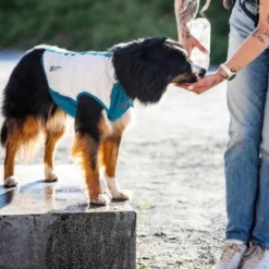 Non-stop Dogwear Chaleco Refrescante Elástico para Perro