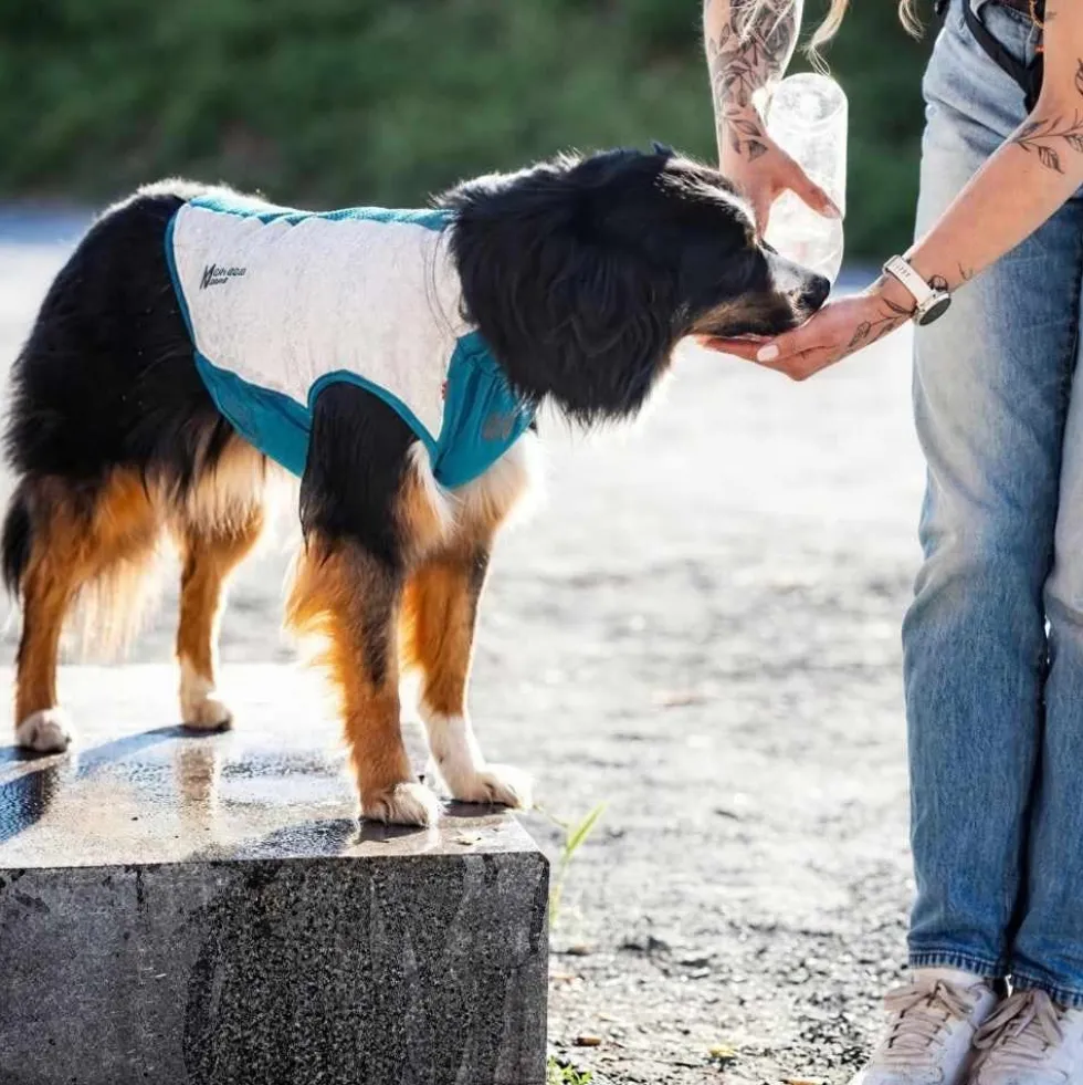 Non-stop Dogwear Chaleco Refrescante Elástico para Perro