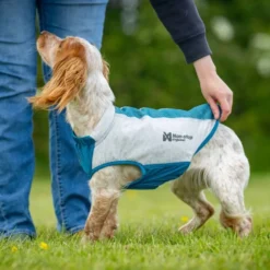 Non-stop Dogwear Chaleco Refrescante Elástico para Perro