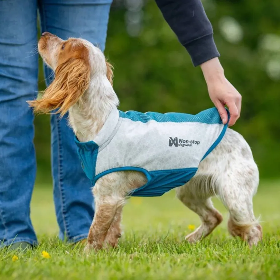 Non-stop Dogwear Chaleco Refrescante Elástico para Perro
