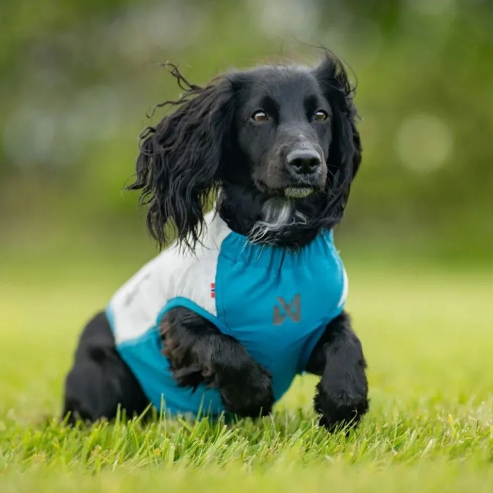Non-stop Dogwear Chaleco Refrescante Elástico para Perro