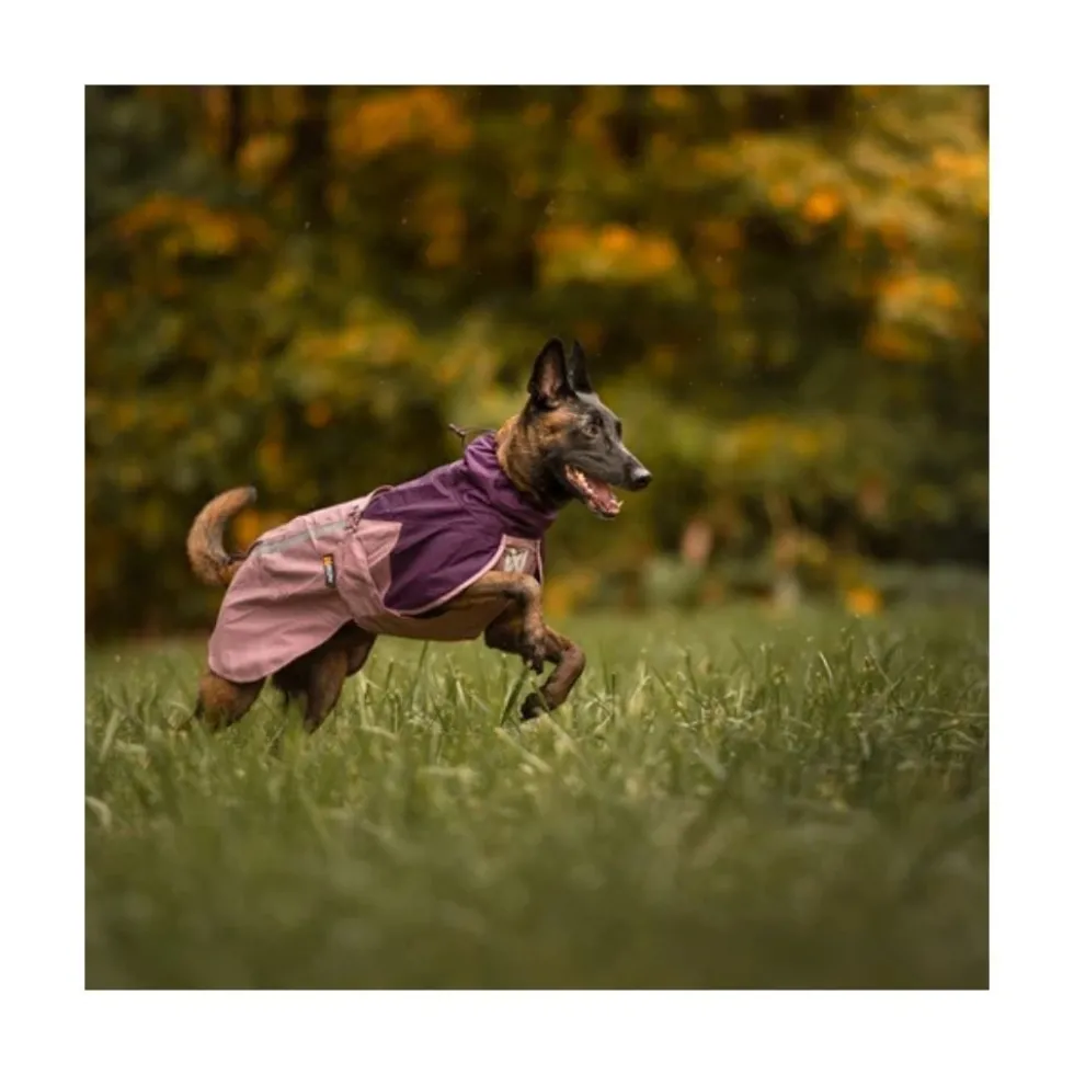 Non-stop Dogwear Chubasquero Cortaviento Malva para Perro