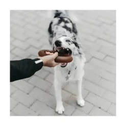 Retorn Juguete Rub Bite para Perro