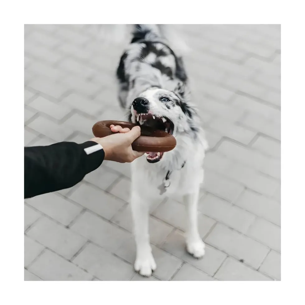 Retorn Juguete Rub Bite para Perro