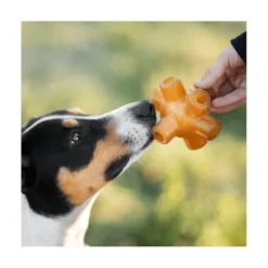Retorn Juguete Rub Free Jump para Perro