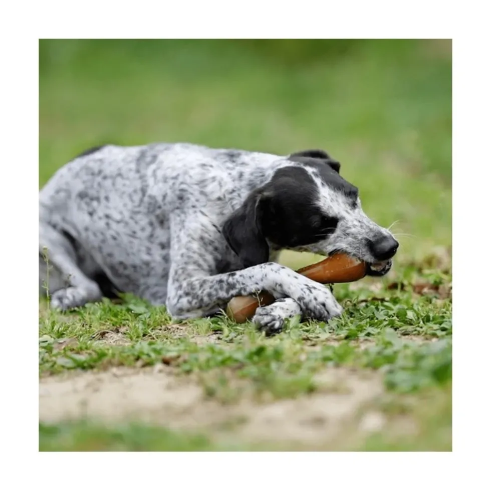 Retorn Juguete Rub Hueso para Perro