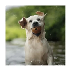 Retorn Juguete Rub Pelota Grande para Perro