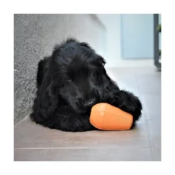 Rucan Conic Naranja para Perro