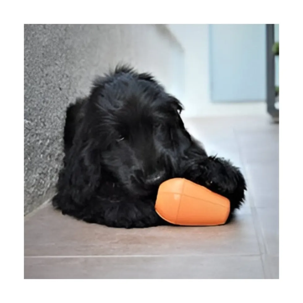 Rucan Conic Naranja para Perro