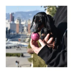 Rucan Dog Ball Pelota Lila para Perro