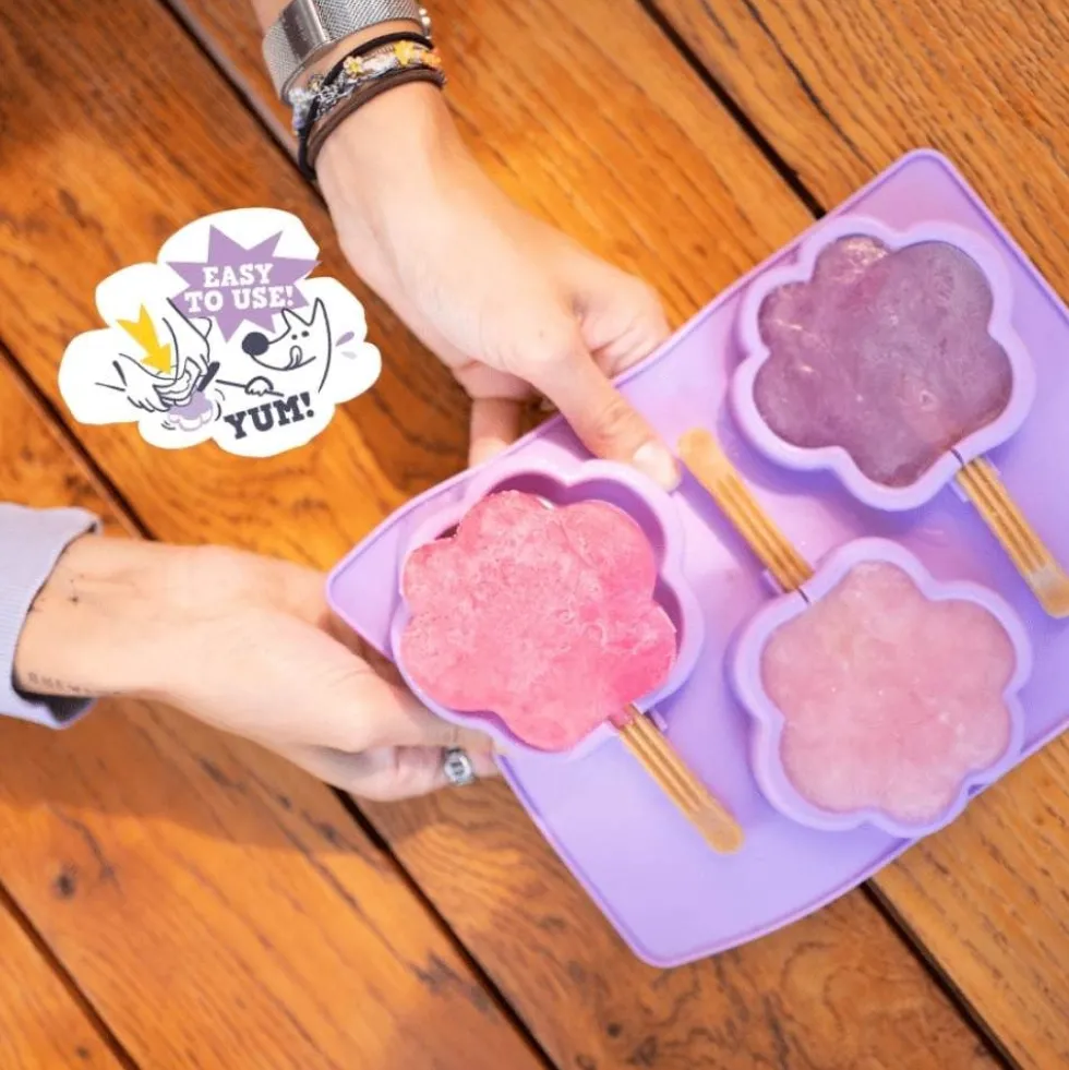 Smoofl Molde para Helados
