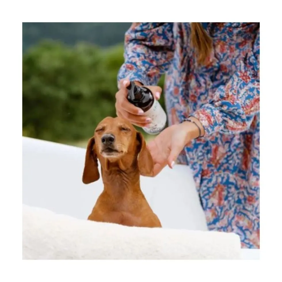 The Doog Life Champú Natural para Perros