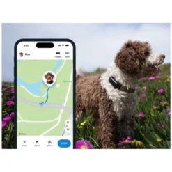 Tractive Dog 6 Black Localizador GPS para Perro