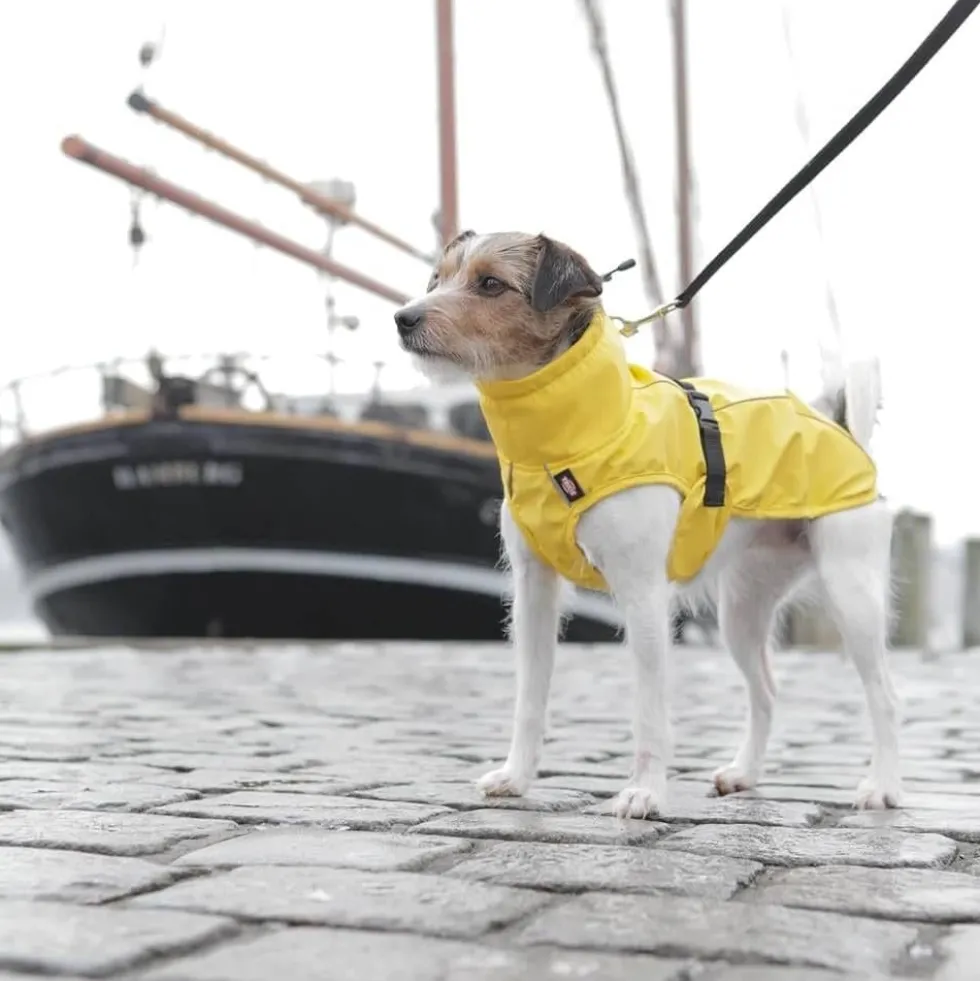 Trixie impermeable Vimy Amarillo Perro Pequeño