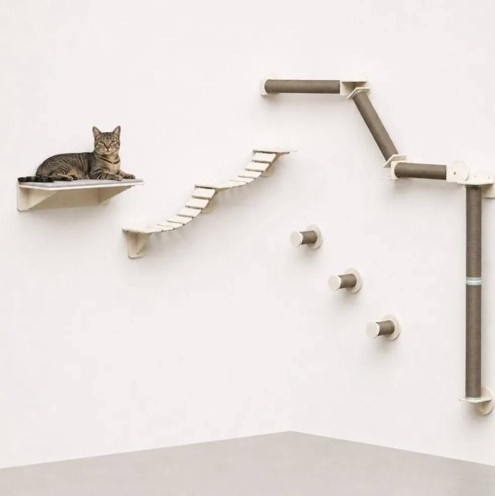 Trixie Pack Gatificación de Pared
