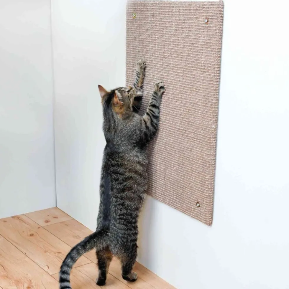 Trixie Tabla de Rascado XL para Gato