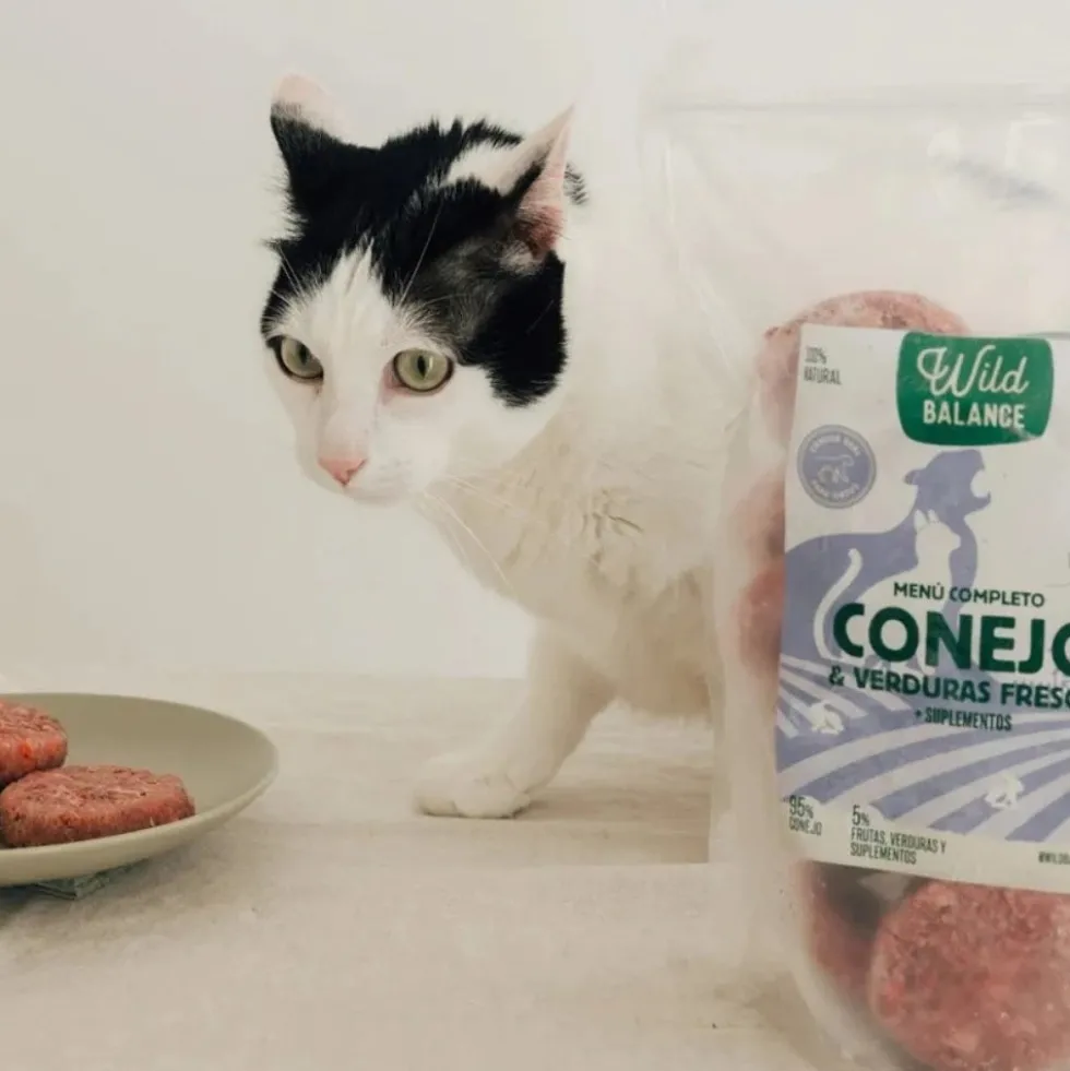 Wild Balance Dieta BARF de Conejo para Gatos