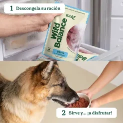Wild Balance Dieta BARF Pavo con Verduras para Perro
