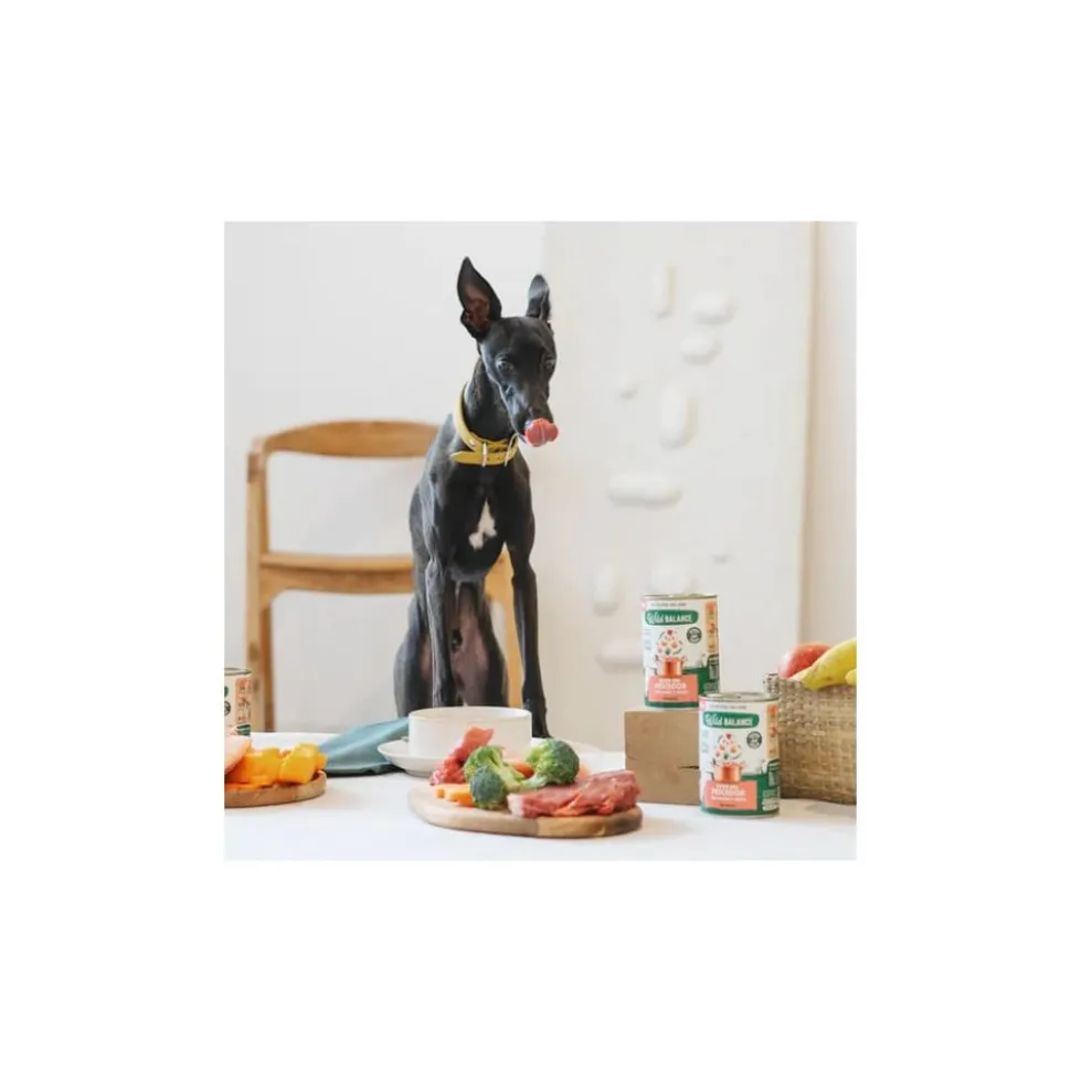 Wild Balance Lata Guiso del Pescador 400g Perro