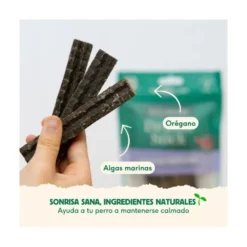 Wild Balance Stick Dental Fuera Placa con Algas Marinas
