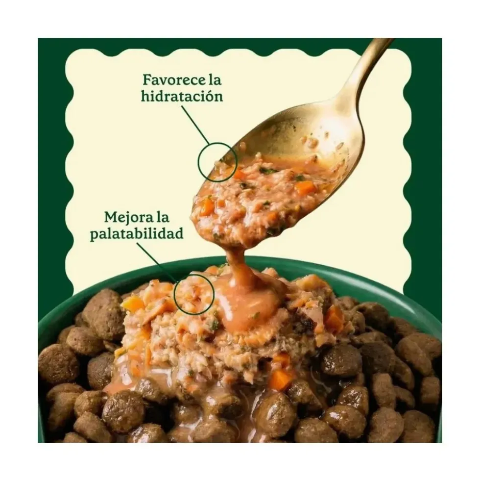 Wild Balance Topper Salsa Gourmet de Salmón para Perro